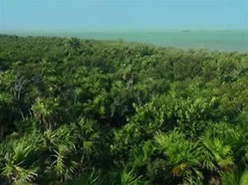 Boca Paila Camps Hotel Tulum